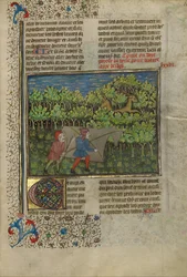Boogschutters achter een nepkoe naderen herten
